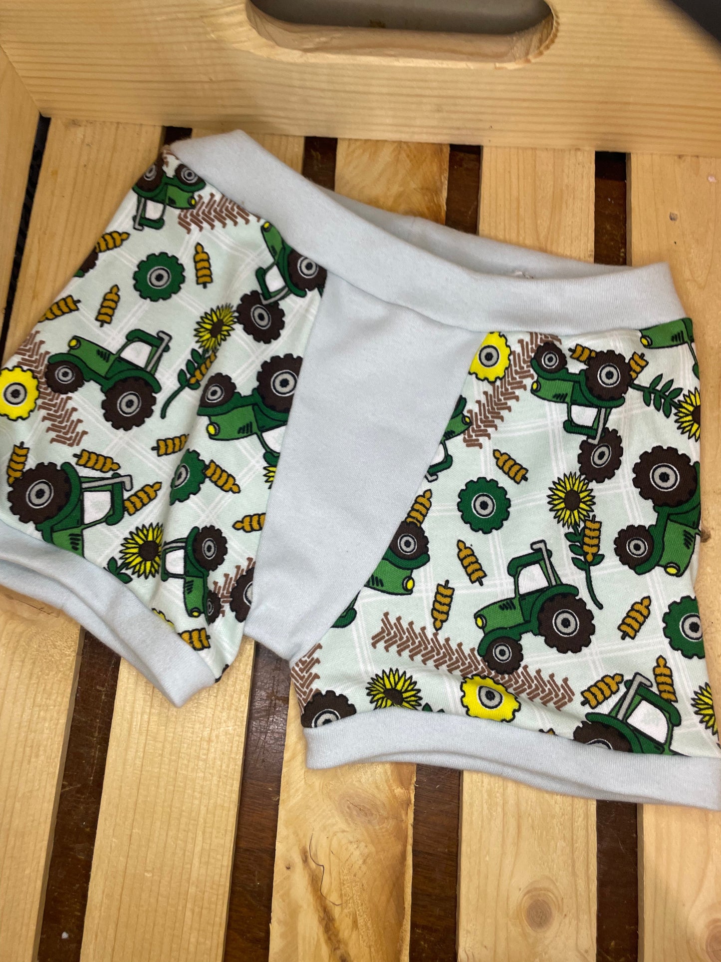 Boxer tout-petit